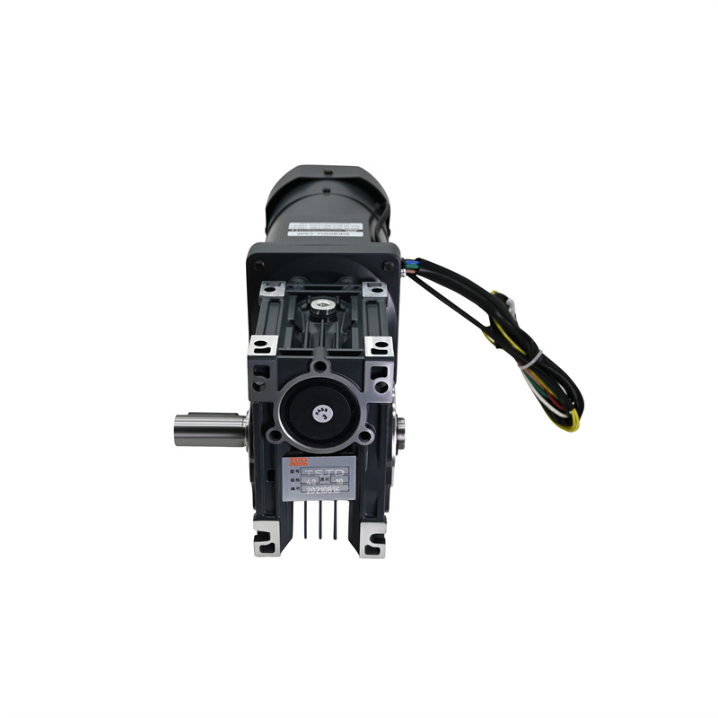 50401.00046 20400897 减速电机 NMRV40-10 90W 380V(6条引线、带刹车)